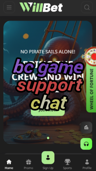 BC Game Support Chat - Instant Help 24/7-vz72fvrf.com